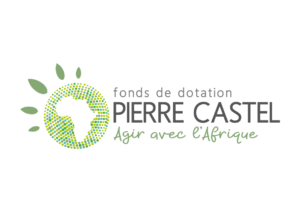 Logo Fonds Pierre Castel